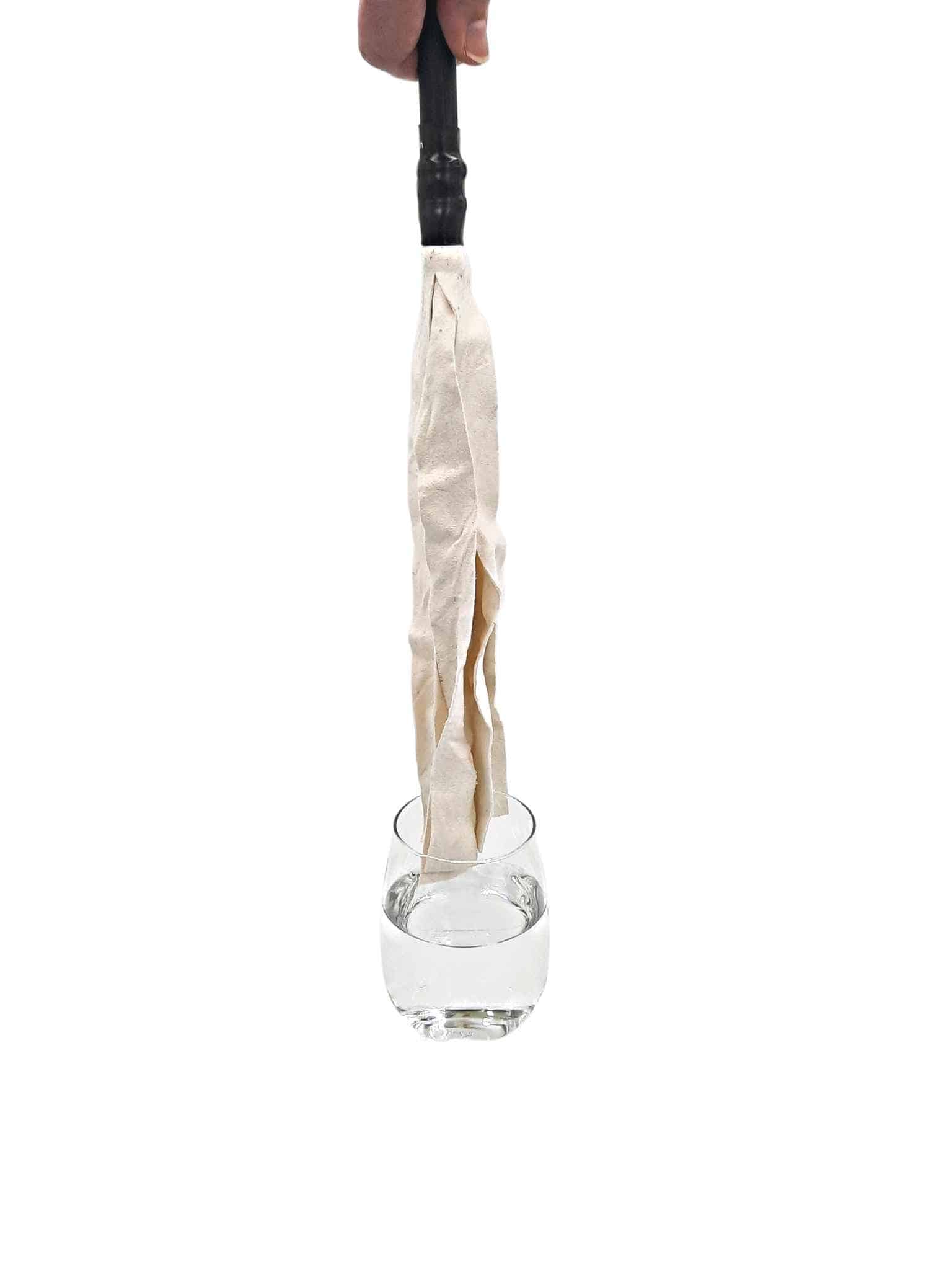 The Shammy-Wet Flogger - Image 3